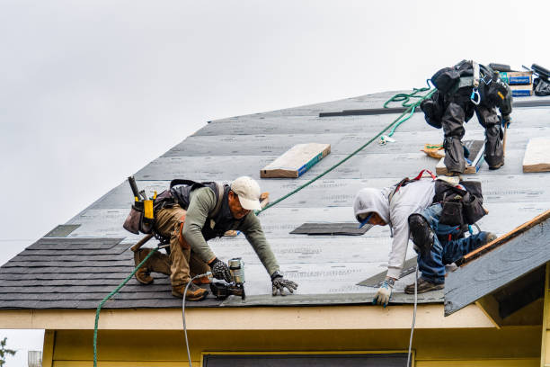 Professional Roof Repair technician working in Coatesville, IN